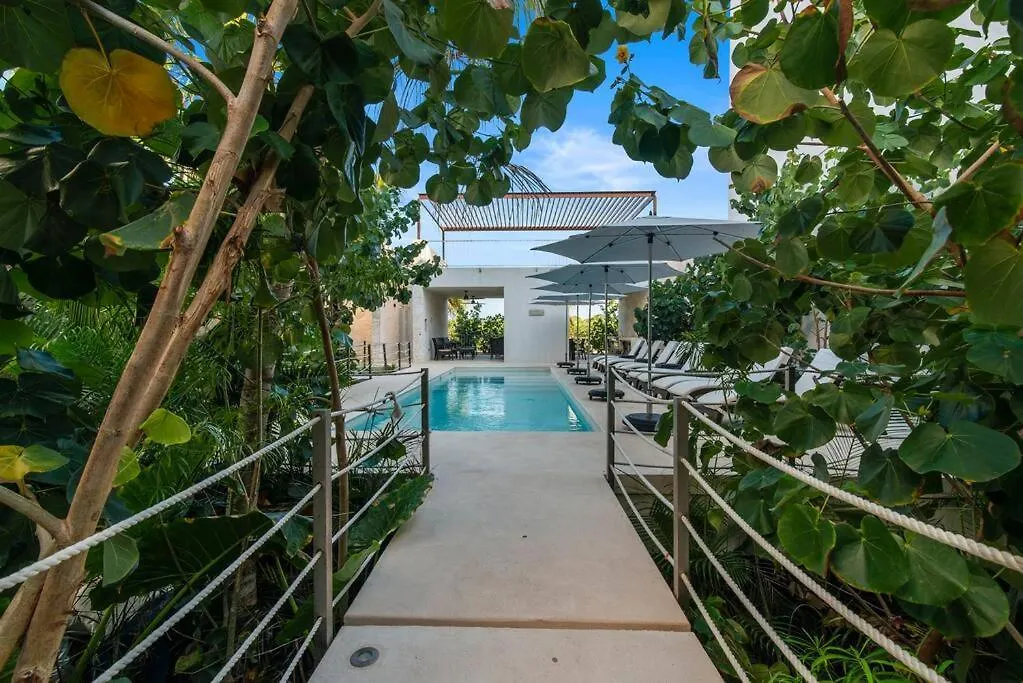 Akumal Secret Walk To Beach Pools With Ocean Views 0*,  Mexico